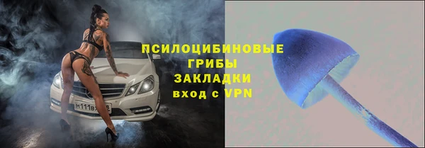дмт Армянск